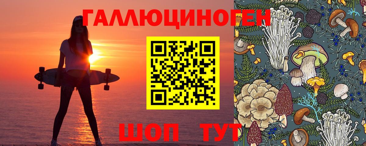 Галлюциногенные грибы MAGIC MUSHROOMS Сланцы