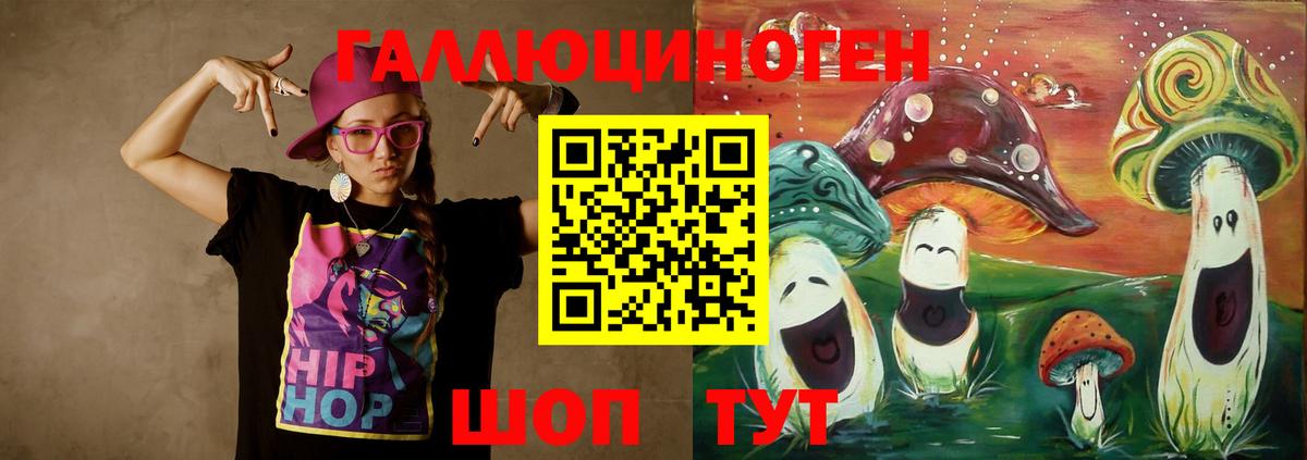 Галлюциногенные грибы Psilocybe  Вход с VPN  Сланцы 